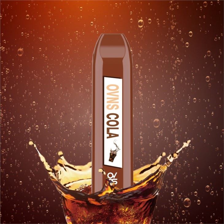 500 Puff Disposable Electronic Cigarette With Fast Shipping 500 Puff Disposable Electronic Cigarette With Fast Shipping