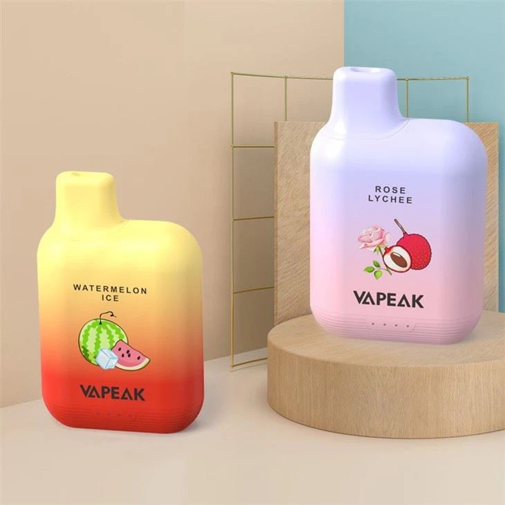Vapeak Disposable Electronic Cigarette Pod Vapeak Disposable Electronic Cigarette Pod