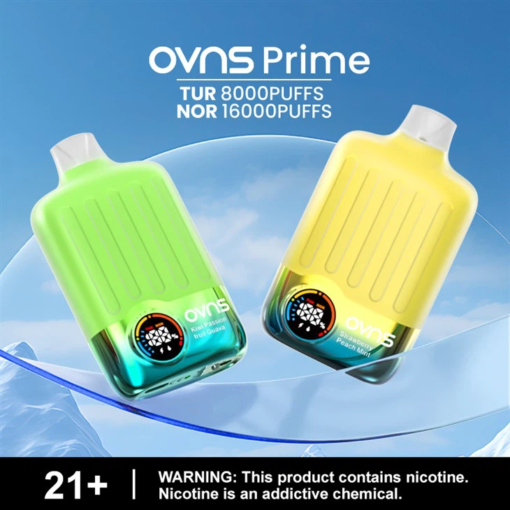 En İyi Tat İki Çalışma Modu Tek Kullanımlık Vape