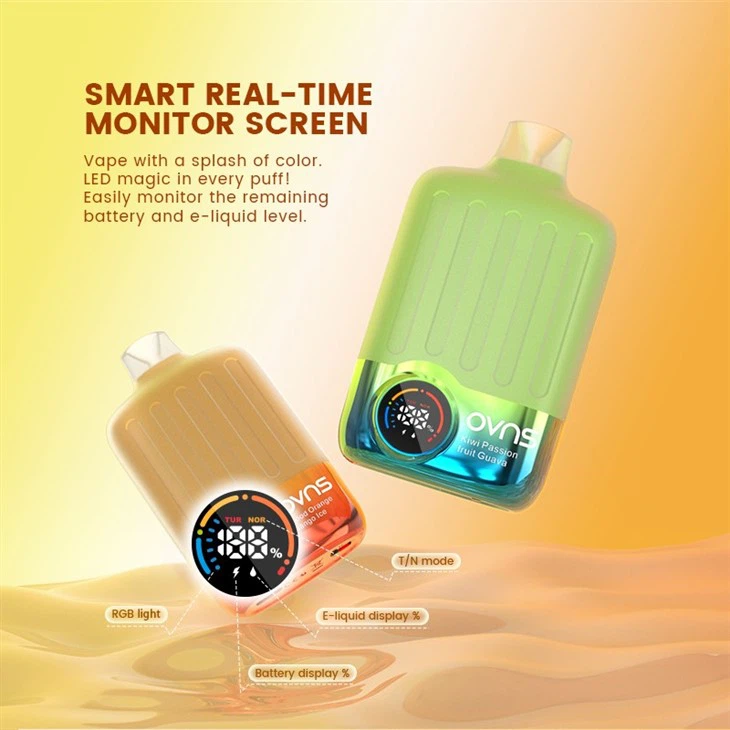 Best Tast Two Work Mode Disposable Vape Best Tast Two Work Mode Disposable Vape